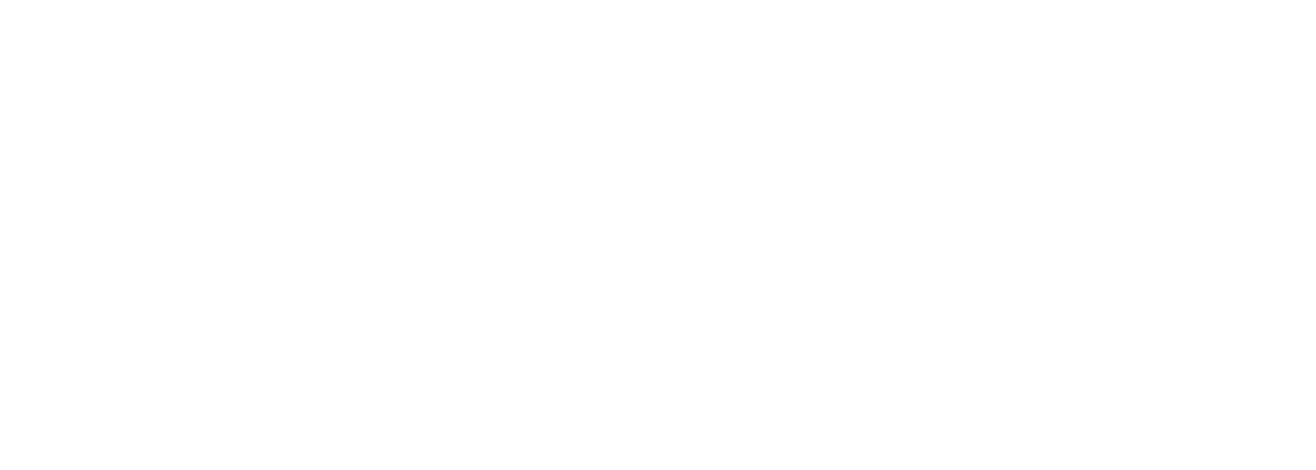 OWASP Logo